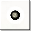quadrant | dub | 12"