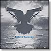 barker & baumecker | a murder of crows | 12" 