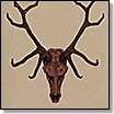 blood of the black owl/at the head of the woods | split | CD
