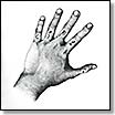 circle of ouroborus | eleven fingers | CD
