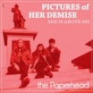paperhead | pictures of her demise | 7"