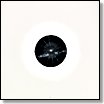quadrant | q1.1 | 12"
